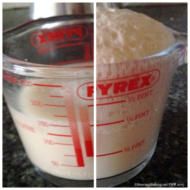 Activating Dried Yeast